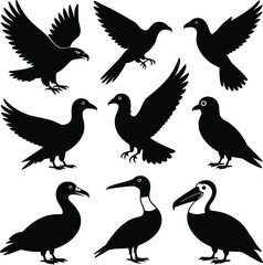 Animal Vector Bundle