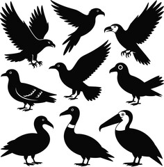 Obraz premium Animal Vector Bundle