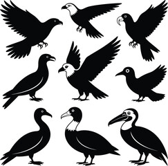 Fototapeta premium Animal Bundle Vector