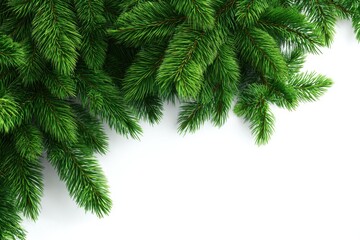 christmas tree branches