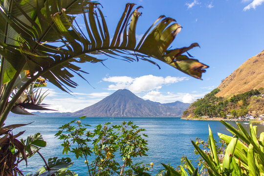 Lake Atitlan volcanic mountain view framed by tropical plants and bright blue water lush greenery vibrant landscape scenic nature photography peaceful lakeside scenery Central America travel outdoor