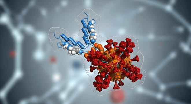 3D molecular structure of antibody binding to virus spike protein representing immune system respons 32057690 1