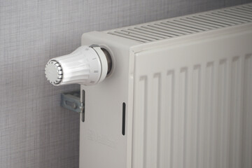 Heating system with adjustable thermostat in a cozy room