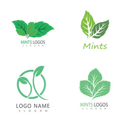 Leaf mint logo vector template