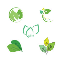 Leaf mint logo vector template