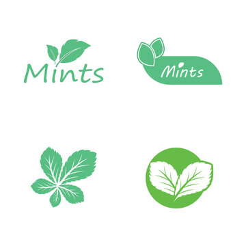 Leaf mint logo vector template