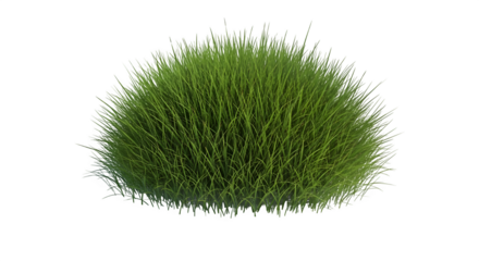 Lush green grass tuft isolated on transparent background, perfect for landscaping and decoration