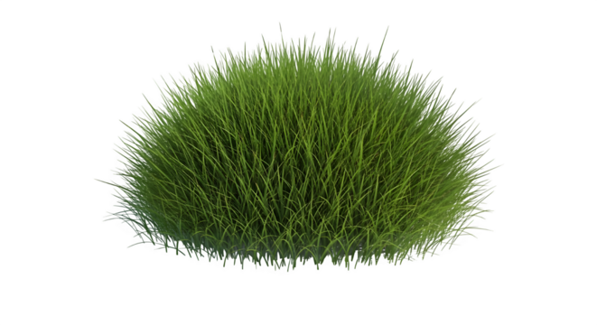 Lush green grass tuft isolated on transparent background, perfect for landscaping and decoration - Powered by Adobe