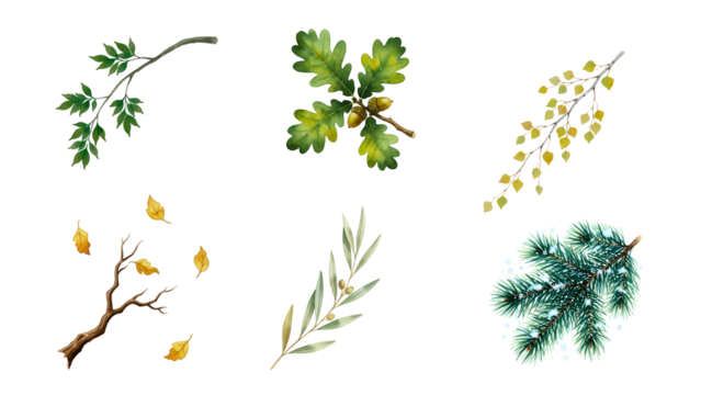 High-quality botanical branch set Illustration featuring seasonal leaves, acorns, pine needles, and autumn foliage for creative design projects 