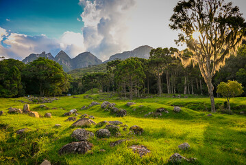 Forest Nature Landscape Mountais in Brazil
