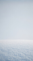 Obraz premium A pristine blanket of sparkling snow stretches to the horizon under a soft winter sky