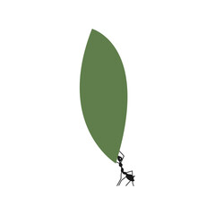 ant logo vector illustration. ant logo desing, symbol icon