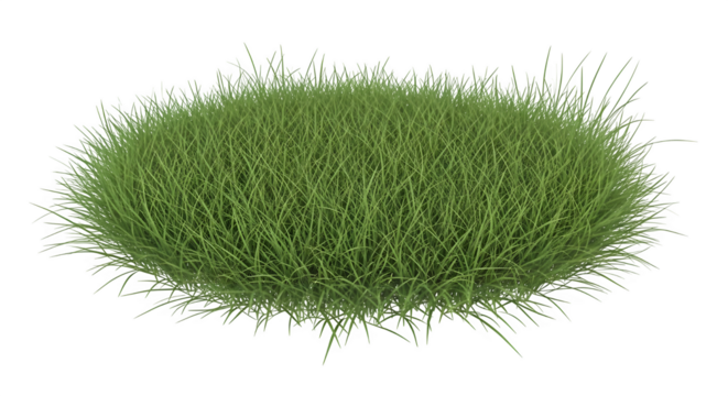 Green grass isolated on transparent background is perfect for your spring and summer designs