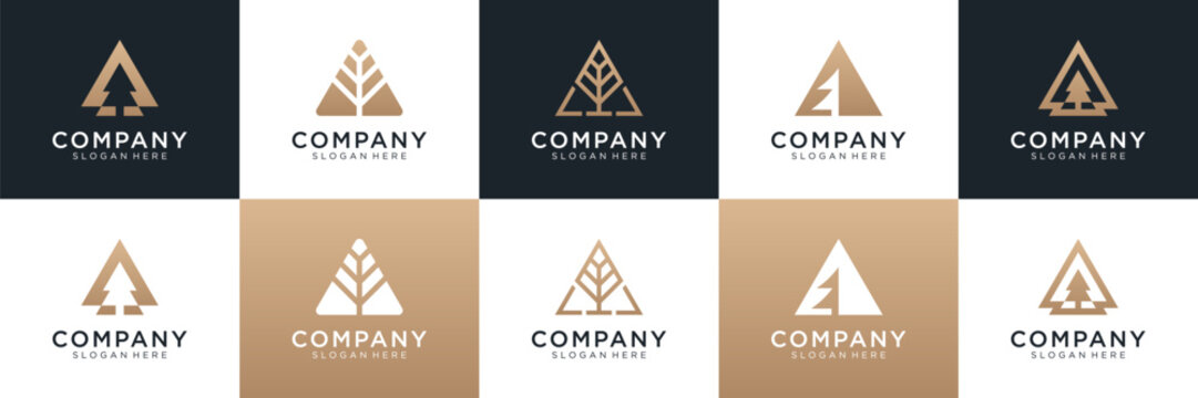 Set of abstract pine tree with letter A logo design. Universal icon for business and branding. minimalist elegant luxury design vector illustration.