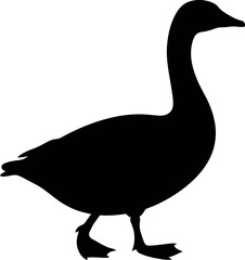 Black goose silhouette walking bird white