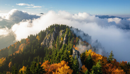 A majestic, rocky mountain ridge covered in a dense mix of green conifers and bright yellow/orange autumn leaves, enveloped by swirling white clouds.