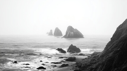Misty Coastal Rocks in Black and White
