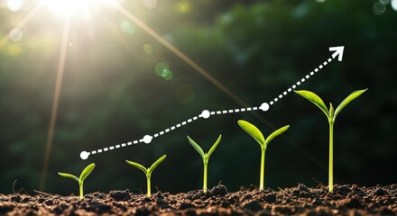 Growing seedlings with a rising graph symbolizing investment success