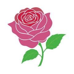 Stylized pink rose illustration with green leaves and stem design Vector