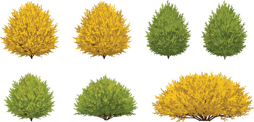 Stylized seasonal bushes and trees in autumn and summer colors, isolated foliage elements for landscaping, botanical, and nature design illustrations.