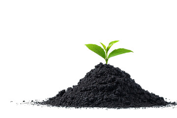 Sprout rises from dark soil; simple, new life