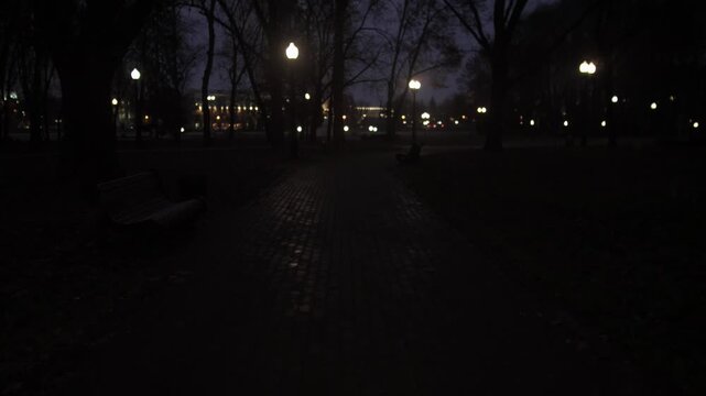 dark park path under lamp glow, empty benches and bare trees frame distant building lights, pavement