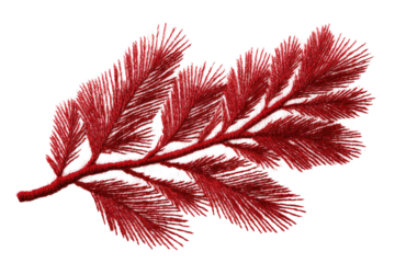 Crimson pine branch with delicate needles on black