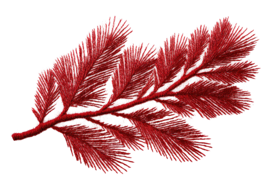 Crimson pine branch with delicate needles on black