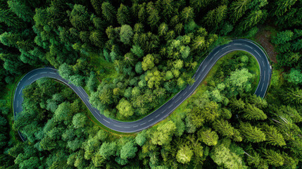 aerial view of winding forest road with asphalt curve and greenery