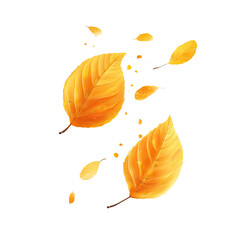 Falling yellow beech leaves on black, autumnal season art