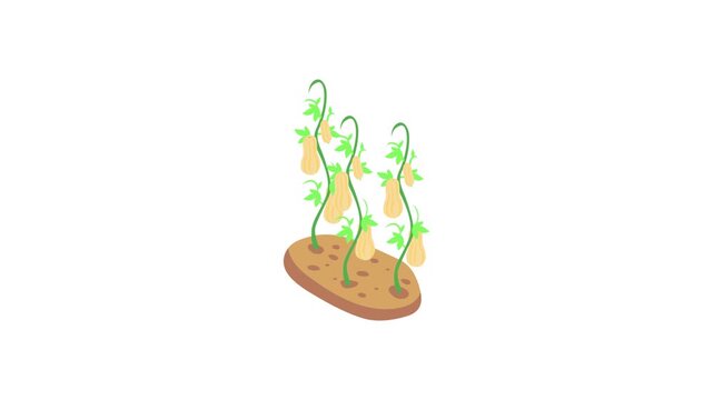 A playful cartoon showing a plant growing , highlighting a unique blend of nature and food in a fun way.