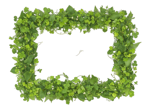 Rectangular Green Leafy Vine Border with Small White Flowers Isolated on Transparent Background Nature Element
