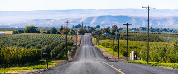 Panoramic view of Vineyard and apple orchards farm landscape in Yakima Valley Washington state