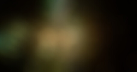 Abstract blurred background with soft light gradient in earthy tones, dark green, brown, and black colors for artistic overlays or subtle texture