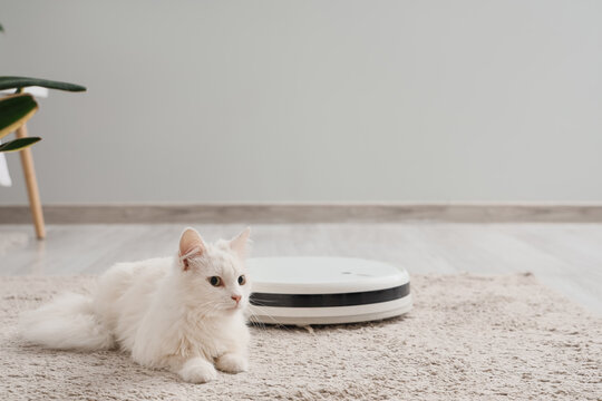 Cute white cat with robot vacuum cleaner lying on carpet in bedroom