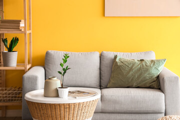Interior of stylish living room with grey sofa, coffee table and shelving unit
