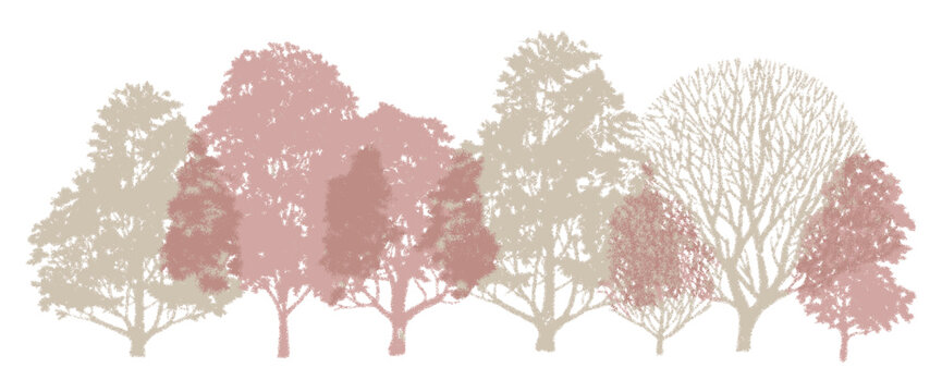 Minimal-style cad side-view tree and wetland forest section outline set, vector illustration for architectural and landscape design, autumn foliage line drawings, environmental site plans