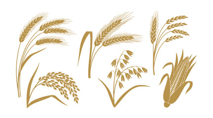 Agriculture symbol showing grain-bearing plants in silhouette style.