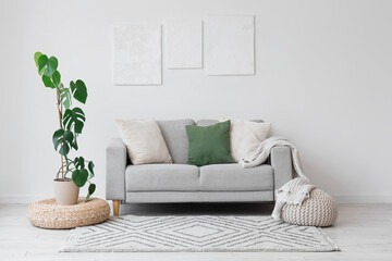 Interior of light living room with stylish paintings, sofa and palm plant
