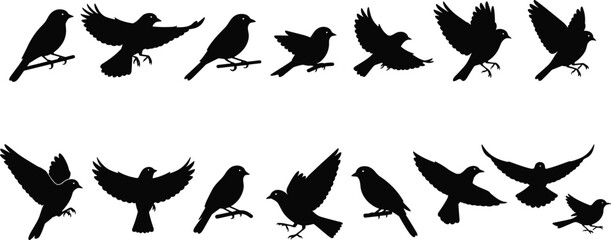 Bird silhouette illustration set, flight and perch poses, black vector, wing positions, avian movement, wildlife design, nature artwork