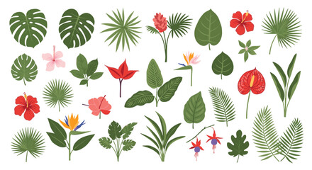 Collection of tropical leaves and exotic flowers, including monstera, palm, hibiscus, and bird of paradise, on a white background.