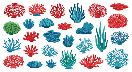 A colorful collection of various types of coral and seaweed in different shapes and colors.
