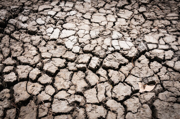 Cracked earth texture