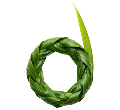 Nature inspired font element lowercase letter d made from woven green leaves on transparent background