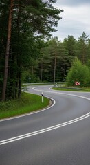 Fototapeta premium Winding asphalt road cutting through a dense forest under a cloudy sky landscape