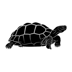 Land Tortoise Side Profile Silhouette Vector