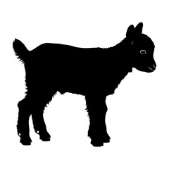 Baby Goat Kid Standing Silhouette Vector Graphic