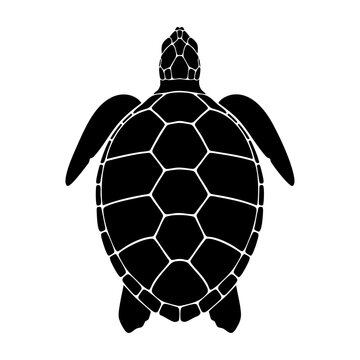 Sea Turtle Shell Top-Down Silhouette Vector Icon