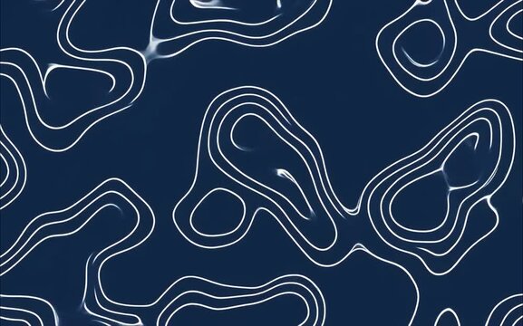 Blueprint Style White Line Topography Animation