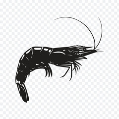 Black and White Shrimp Illustration in vector format Seafood Concept